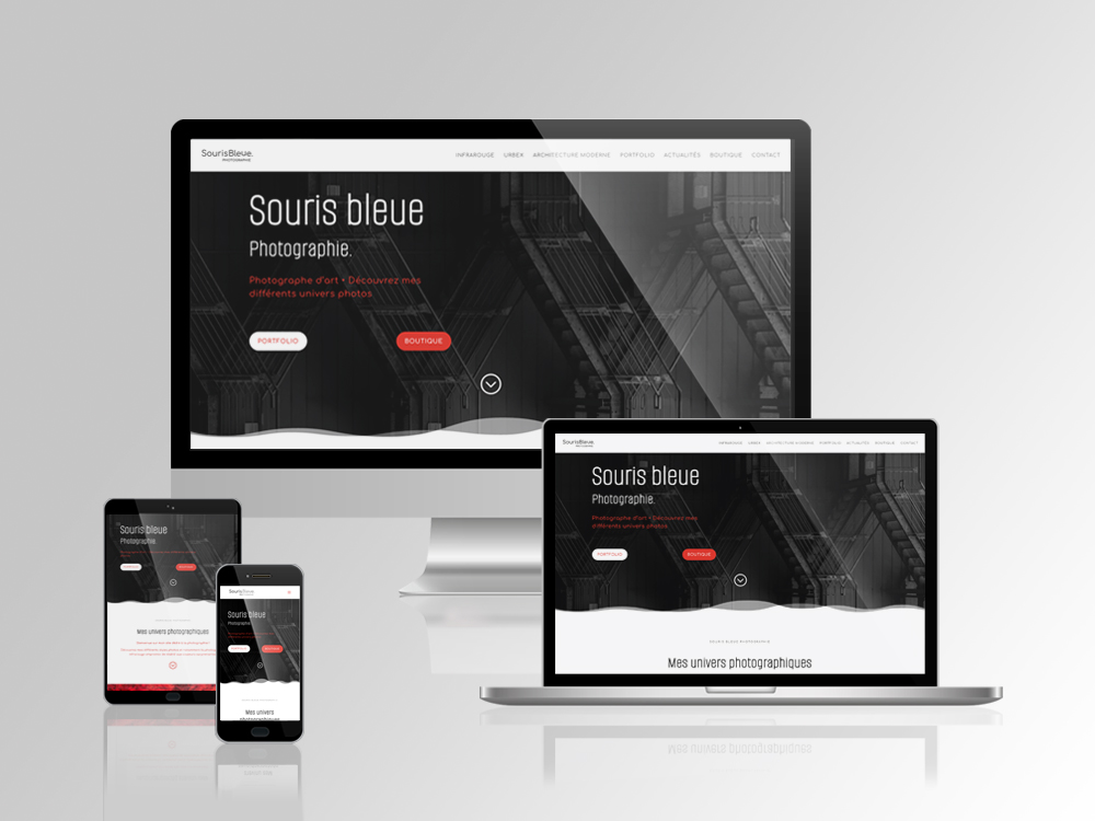 Création de site internet éco conçu, site web éco responsable à Nancy, Lorraine, Grand est.