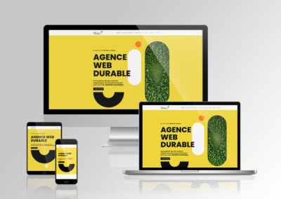 Site internet • Boutique en ligne • E-commerce